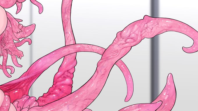 配信終了しました 