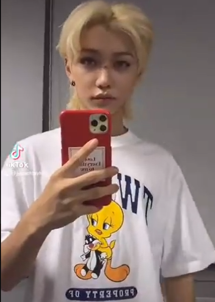 フィリックスがスマホケースを変えたのは理由があります🐥 これはSave