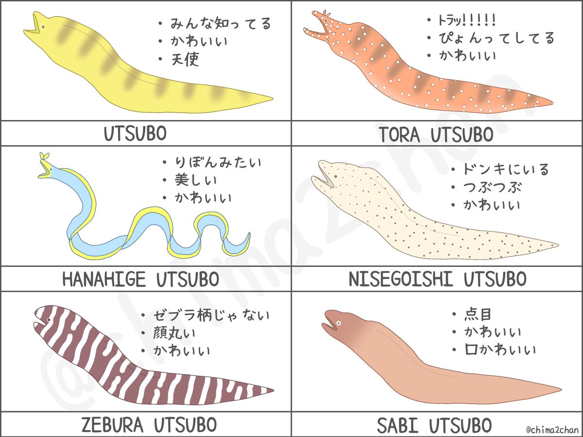 Twoucan ウツボの可愛さ伝われ の注目ツイート イラスト マンガ Twoucan ウツボの可愛さ伝われ の注目ツイート イラスト マンガ