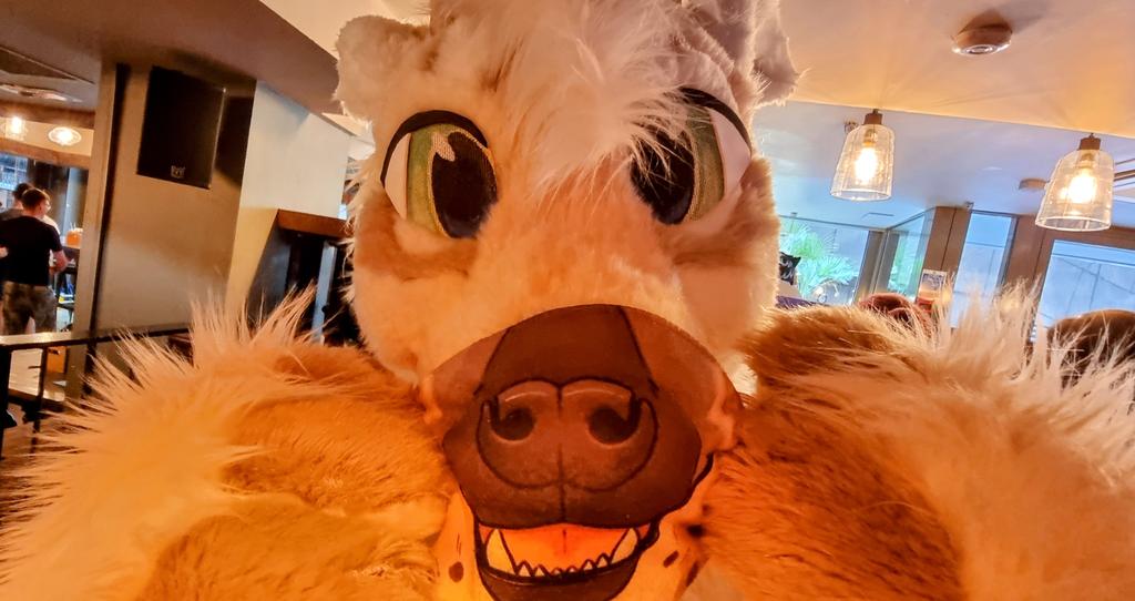 "Grr I'm a hyenaaa"

Debut suit day by <a href="/Novaloux/">🐺 Amelia 🐺</a> 
📷 by me!