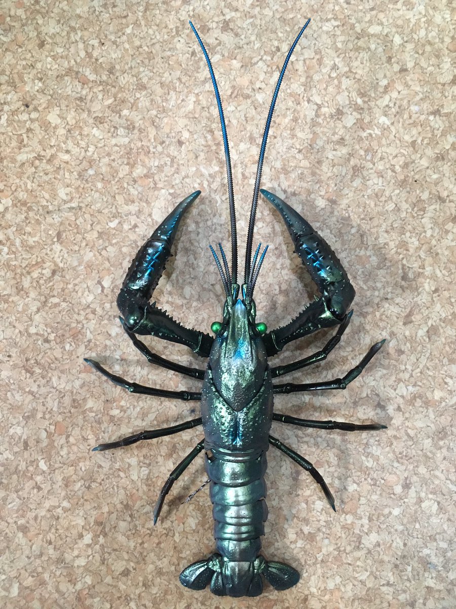 fight_flighty's tweet image. ザリガニできた！
ファレホ社の塗料使いたいだけになっちゃったけど作業楽しかった🤣
偏光カラーだから見る角度によって色変わるからなんか不思議(´⊙ω⊙)
#vallejo #Magicdust #偏光カラー