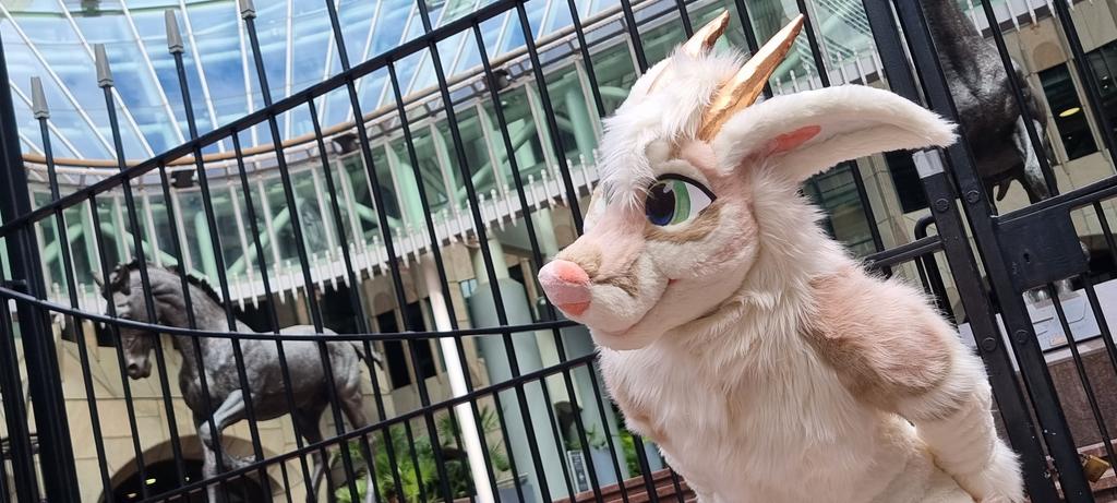 It was <a href="/Novaloux/">🐺 Amelia 🐺</a>'s debut for her suit at the meet, amazing to complete in the short time it took her and super proud of her work. She got a lot of attention!

📷 by me!