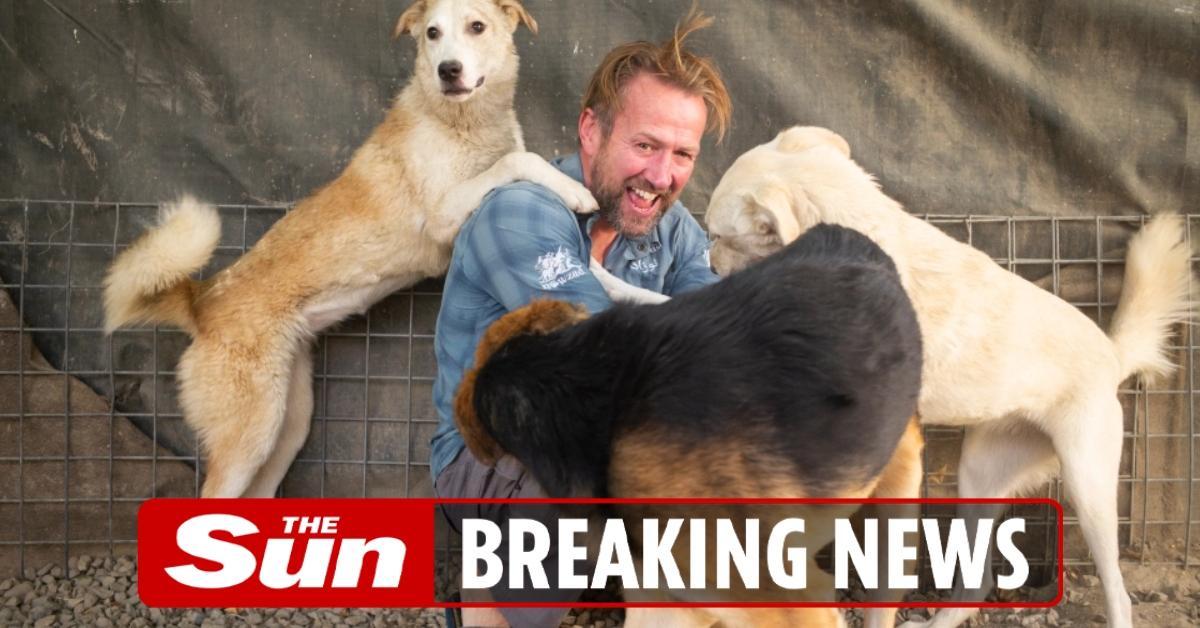 Pen Farthing's plane with 173 dogs and cats lands in UK from Afghanistan thesun.co.uk/news/15991624/…
