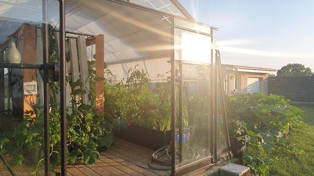 Myfood 🌱 tweet media