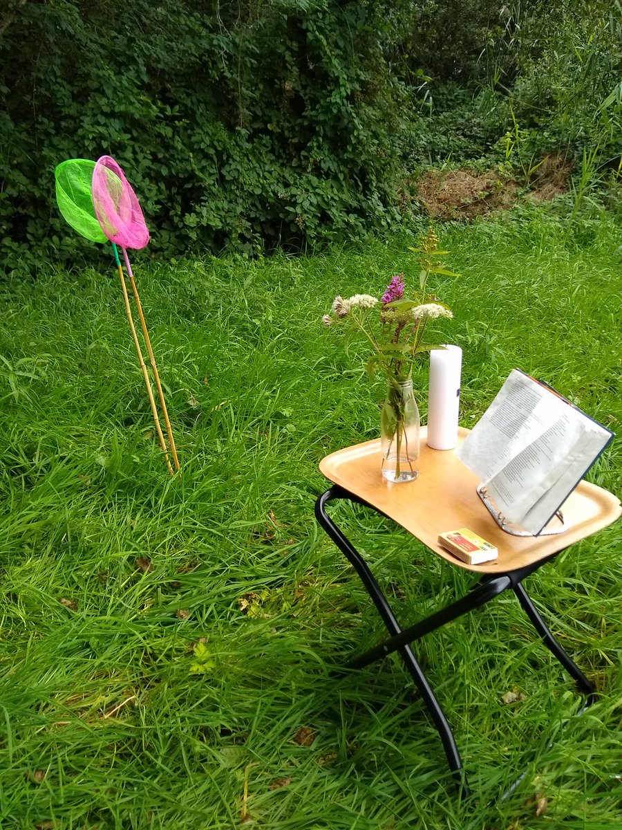 Petra de Nooy tweet media