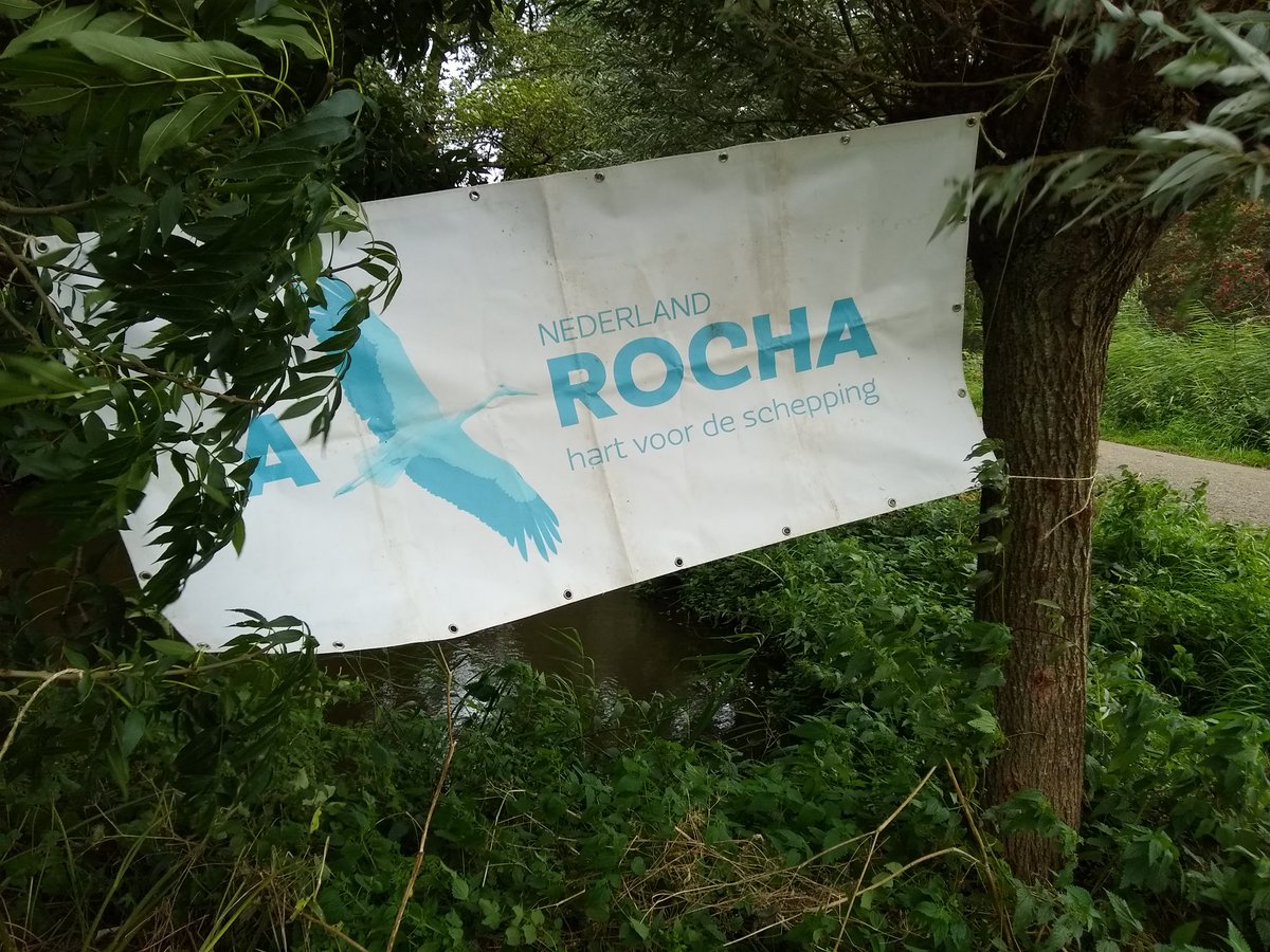 Petra de Nooy tweet media