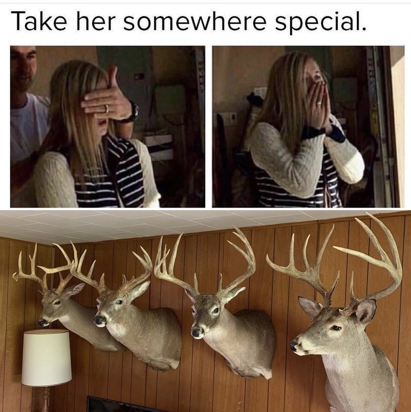 Outdoor Obsession tweet media