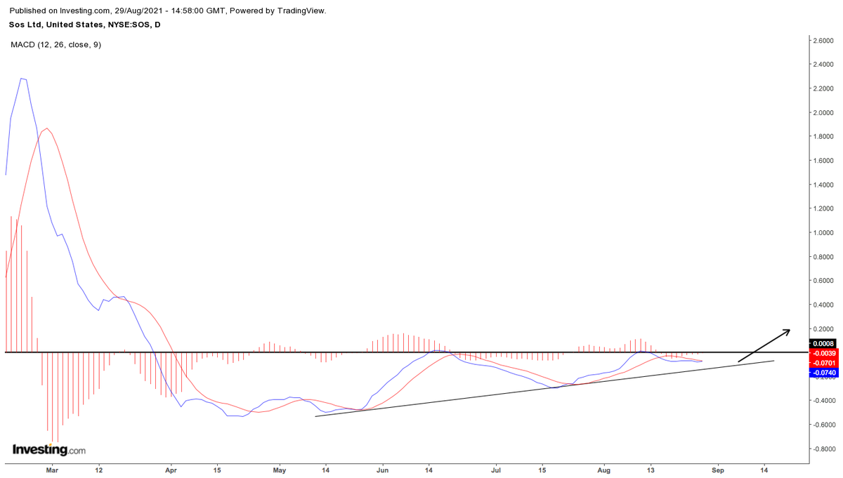 lotuspetal13 tweet picture