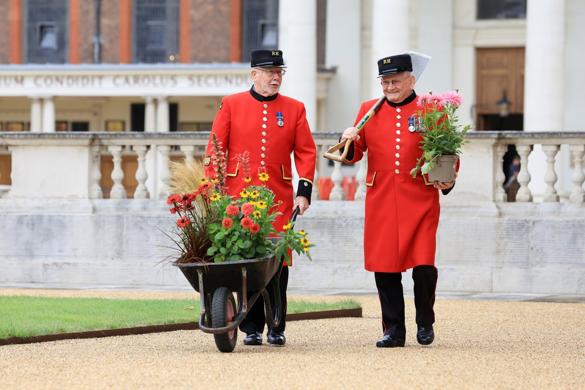 The_RHS's tweet photo. Build has finally begun for this year's #RHSChelsea! 

Chelsea Pensioners Dewi Treharne and Roy Palmer are helping the show on its way with a lovely selection of seasonal plants. 

 Limited tickets are still available, book yours now:
https://t.co/dN6hlhWsGw

@RHChelsea https://t.co/aKdLTSZuVM