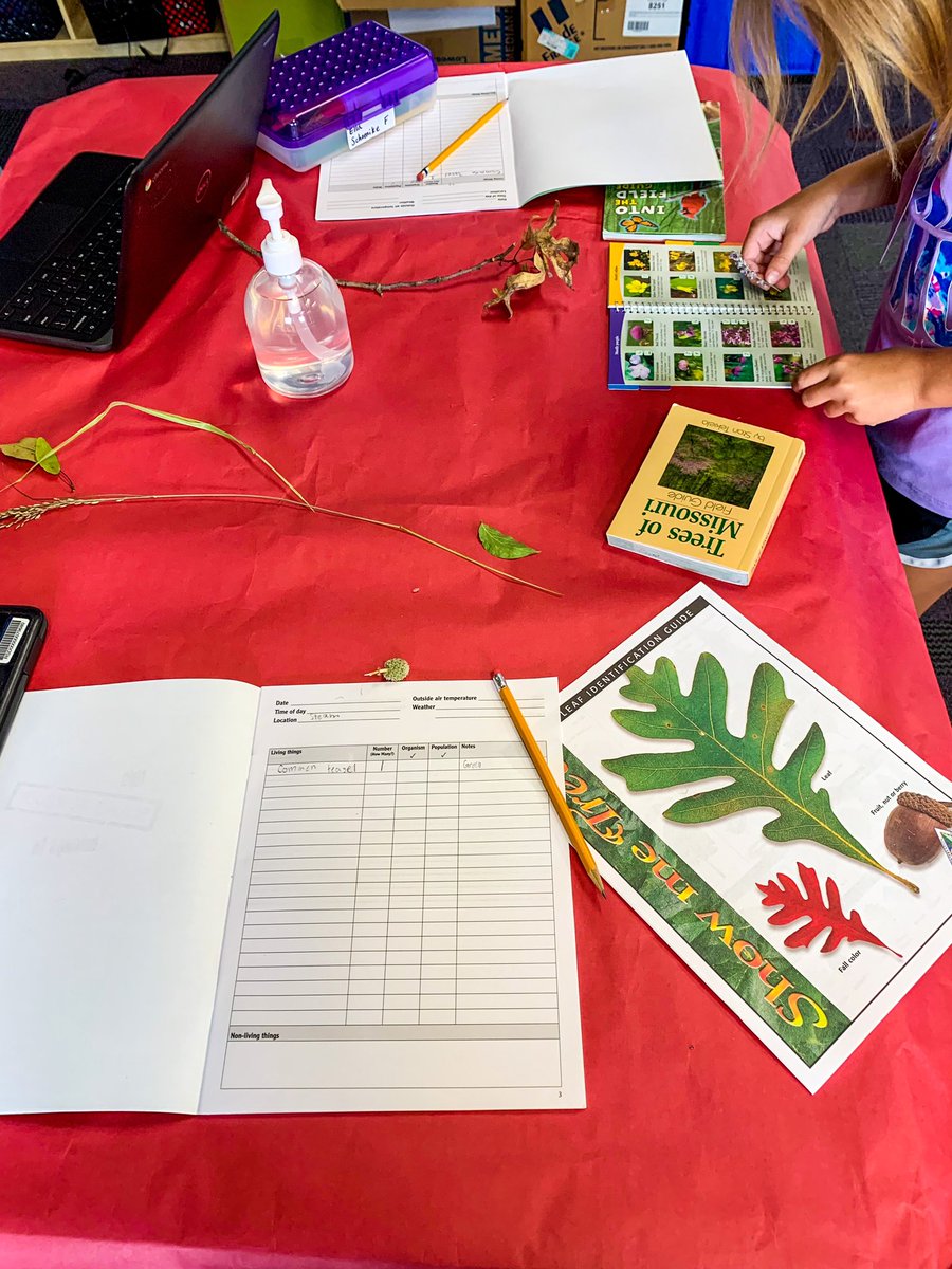 It was so fun having students back in the classroom this past week! The heat advisory kept us inside but didn’t keep us from bringing the outside in. #STEAM #outdoored #outdoorlearning #STEAMed #gifteded