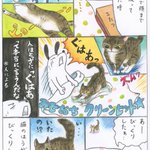 いきなり飛び込んできていた猫が？気を遣うようになった!
