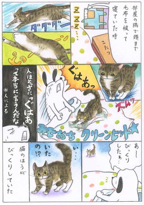 いきなり飛び込んできていた猫が？気を遣うようになったwww