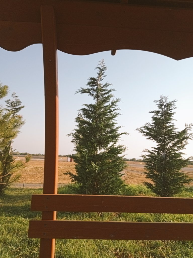 Hastanemin güzel manzarasını, chanyeol'umun şarkısı eşliğinde seyre daltıktan sonra dönüşte mafya gibi dolaşan iki köpeğin kocaman ağızlarını açarak bana doğru koşmasıyla adrenalin doruğunu yaşayarak günü kapatmışımdır