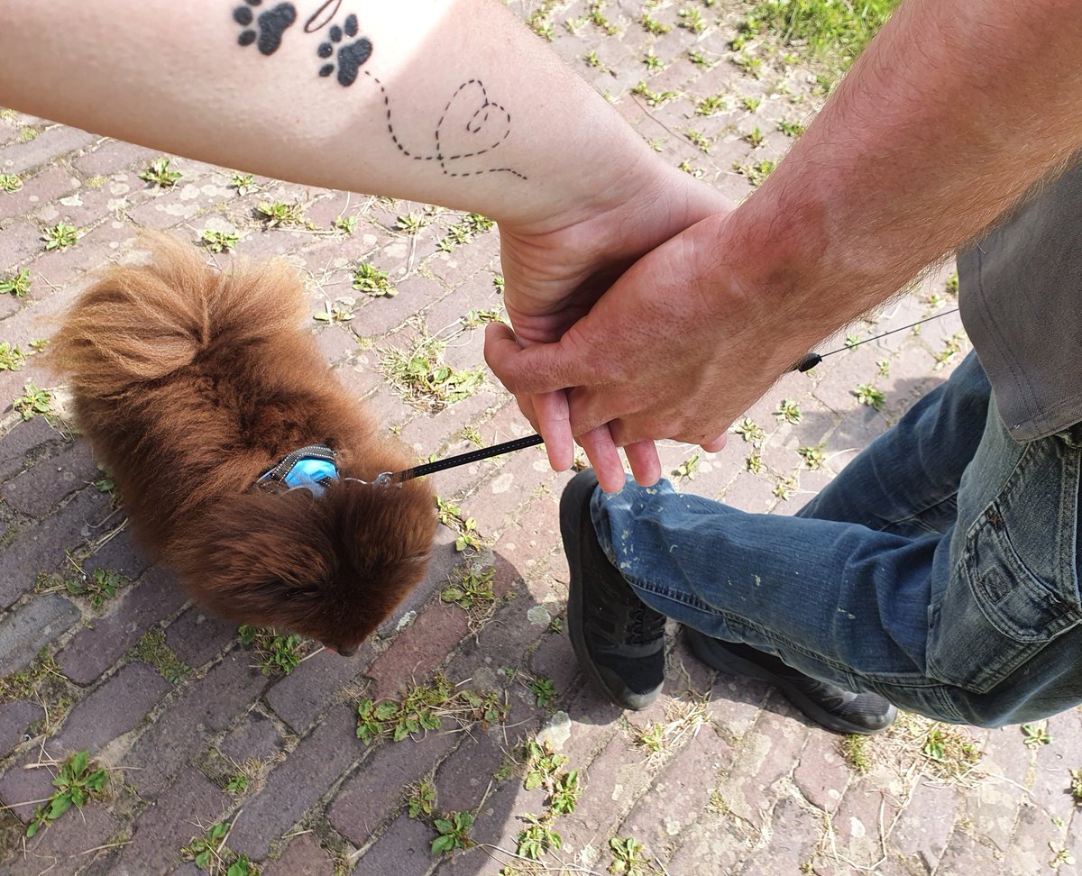 17Ingrid02's tweet photo. "It's true; we don't have it as easy as ordinary couples. But this is no ordinary love"❤
#mentalhealth #spoonielife

Vandaag 1,5 jr samen, morgen zien we elkaar weer🥰 https://t.co/cfHoVDQK5P