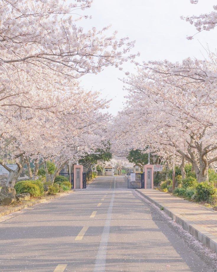 notmethofr's tweet photo. 𝘜𝘱𝘶𝘢𝘯 ✧ a RenYang AU where in Yangyang, a very shy and quiet student has a huge crush on his seatmate, smart, pretty, and perfect, Renjun also known as the school's heather. Inspired by Ben&amp;Ben's upuan. https://t.co/GZMKAdzWEb