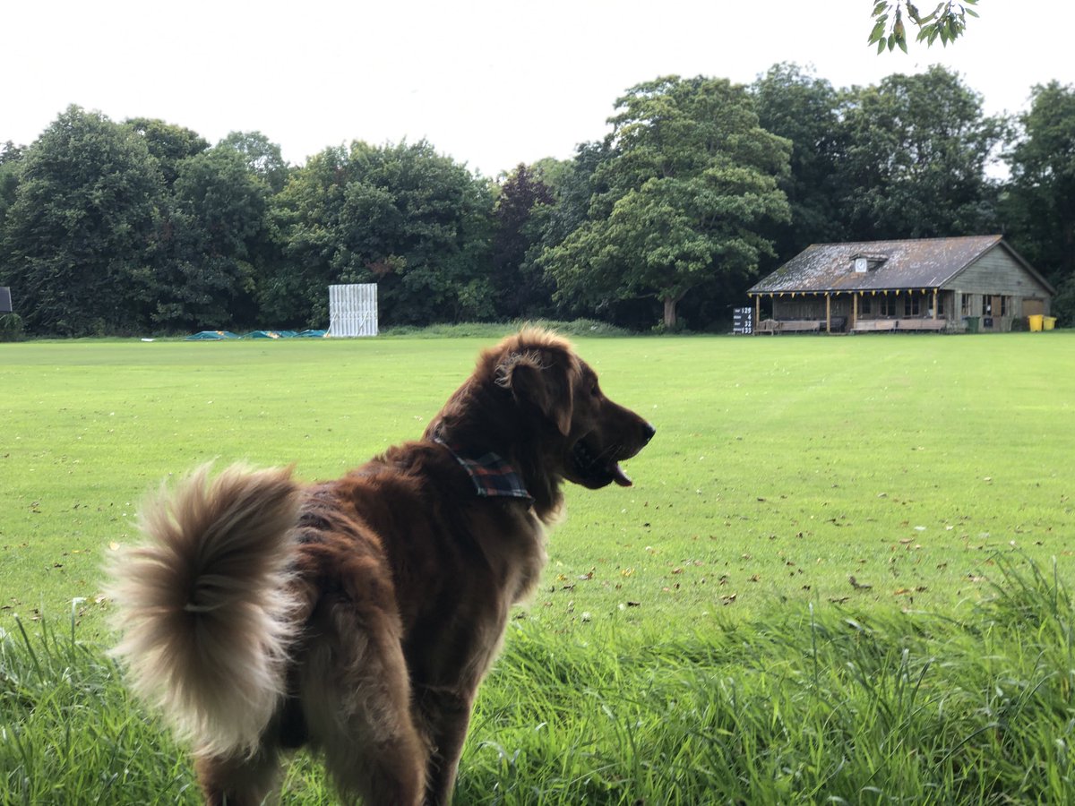 Chris Player tweet media