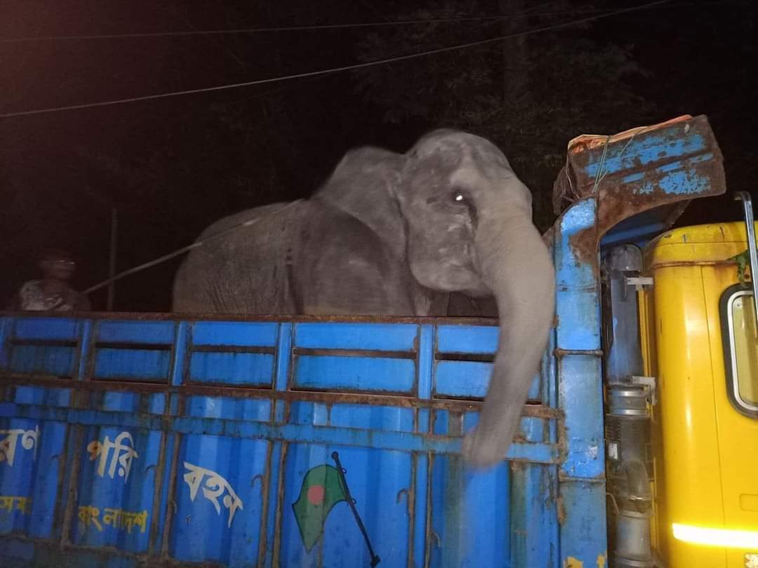 Mostafa Yousuf tweet media