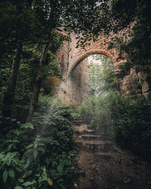 VisitScotland's tweet photo. Surrounded by stunning nature at every turn!🍃🍂 Where is YOUR fave place to escape from it all in #Scotland? 😌 #RespectProtectEnjoy 📍 Roslin Glen Country Park, Midlothian 📷 IG/roanlavery  #VisitMidlothian https://t.co/oa7UC0k6Fz