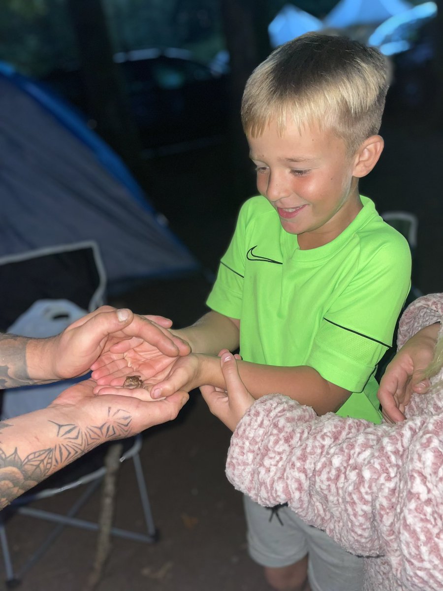 fernreaderX's tweet image. Camping trip for Mia &amp;amp; Gary, they were so surprised to see a hedgehog &amp;amp; baby frog in their natural environment🦔🐸 followed by some s’mores 🪵🔥 @StMonicaMilton