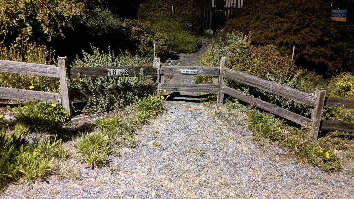 OrAroundTen's tweet image. #TinyGate