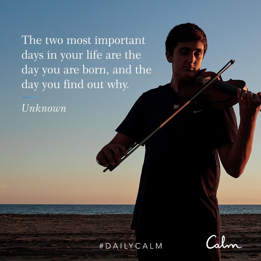 LambClanMom's tweet photo. Today I learned about the Japanese word Ikigai which is the reason you get up in the morning, your passion or joyful purpose in life. May everyone know and follow their ikigai ♥️. Thank you ⁦@calm⁩ for my daily dose of wisdom and calm. https://t.co/XNvMA293Fz