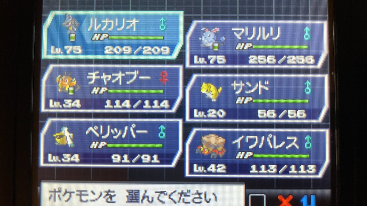 ツワ子 على تويتر 久々のポケモンブラック2 旅パに誰入れようか悩んでたらルカリオとマリルリだけで四天王手前まできてしまった