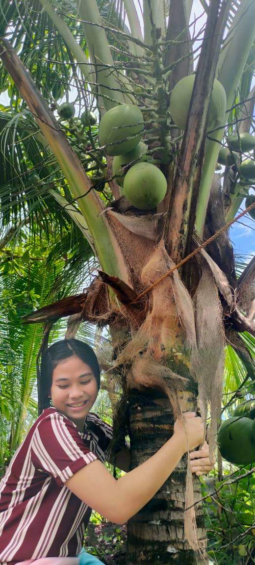 minimemeVios's tweet photo. Coconut pilot https://t.co/1SPYqa2gko