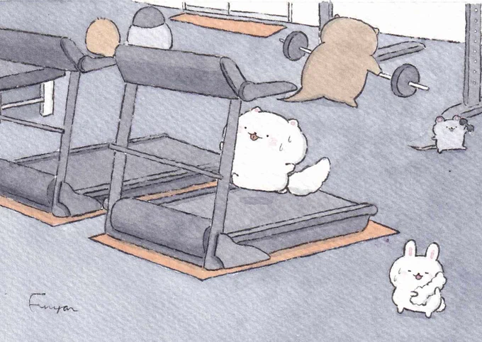 トレーニングに励むぽんちゃん 