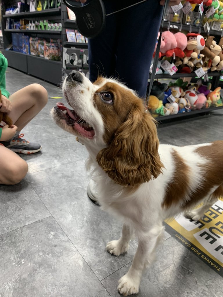 GAME Westwood Cross on Twitter "Gull of Tsushima is where it is at in