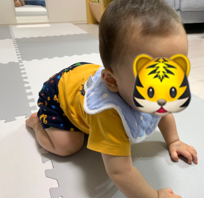 تويتر とっくんママ 10m على تويتر ずり這い 四つん這い ハイハイに向けて 四つん這いで筋トレしています まだ少しも進みません 男の子ママ 赤ちゃんのいる暮らし 新米ママ ワンオペ育児 0歳 生後6ヶ月 ママ垢さんと繋がりたい 育児日記 育児
