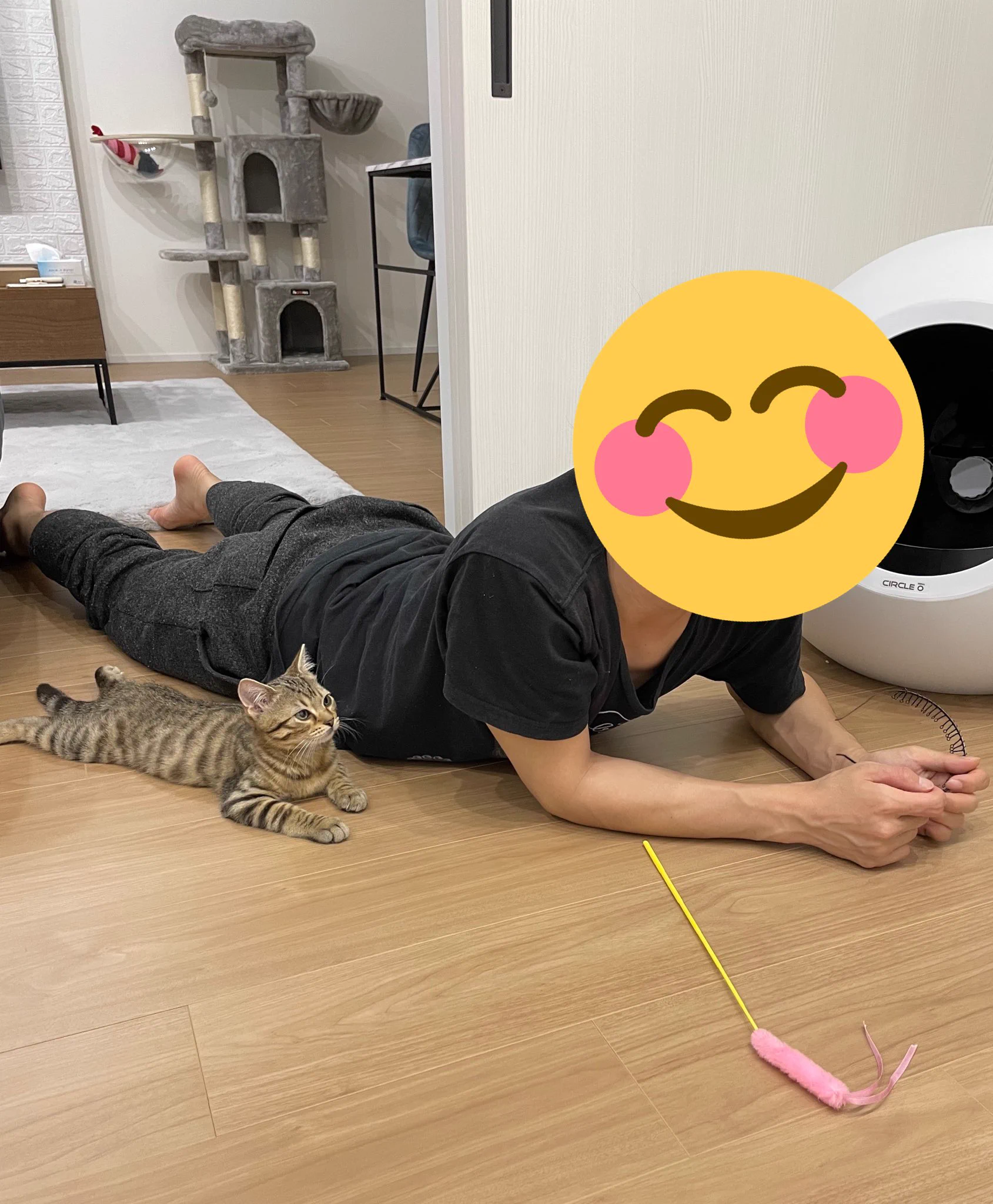 新入りネコちゃんがきたとき、人間のようにみているネコwきっと人間だと思っているはず