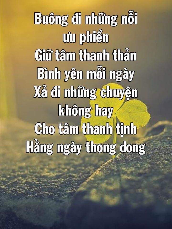 Võ Đình Liêm tweet media