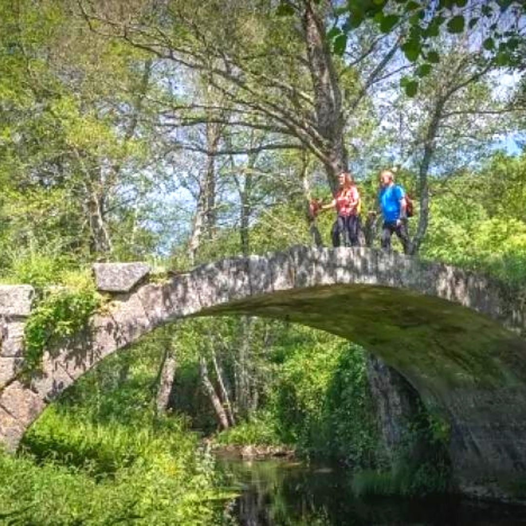 RVSierraFrancia's tweet photo. 📸 Bonito #reportaje de la @RVSierraFrancia publicado en @ElMundoViajes 📰 En esta Ruta Enoturística caben pueblos con infinito encanto, paseos entre viñas, ríos y hasta obras de arte, comidas en imponentes castillos y tradiciones únicas 🏞️ @elmundoes 
ℹ️ https://t.co/gloKdOejRd https://t.co/rG3fApl54t