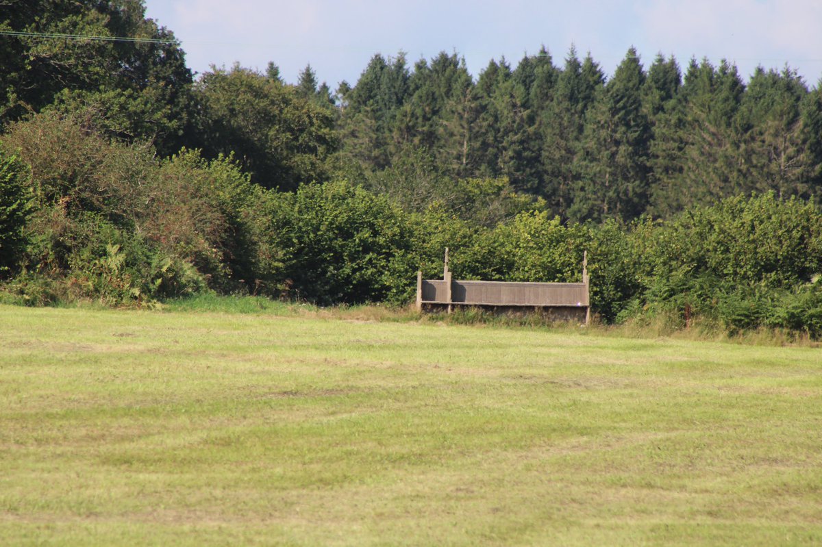 trellechpew's tweet photo. The meadow all neat waiting for visitors and their dogs !!! #wetmeadows #monmeadows #monmouthshire #trellech #trelleck #viewfromthepew https://t.co/yw1G5aBQ0t