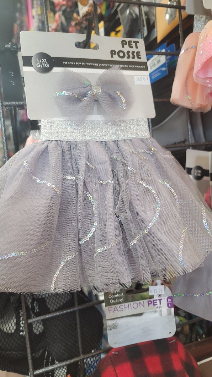 princesstegantx's tweet image. Daddy says if I get 100 more followers I can get this dress....I asked him if I get 200 if I can get it in pink.  Ease help me....I want to start my modeling career. #dogsoftwitter  #DogsofTwittter  #CatsOfTwitter. I do follow back, it&apos;s only polite. Please my furry chums retweet