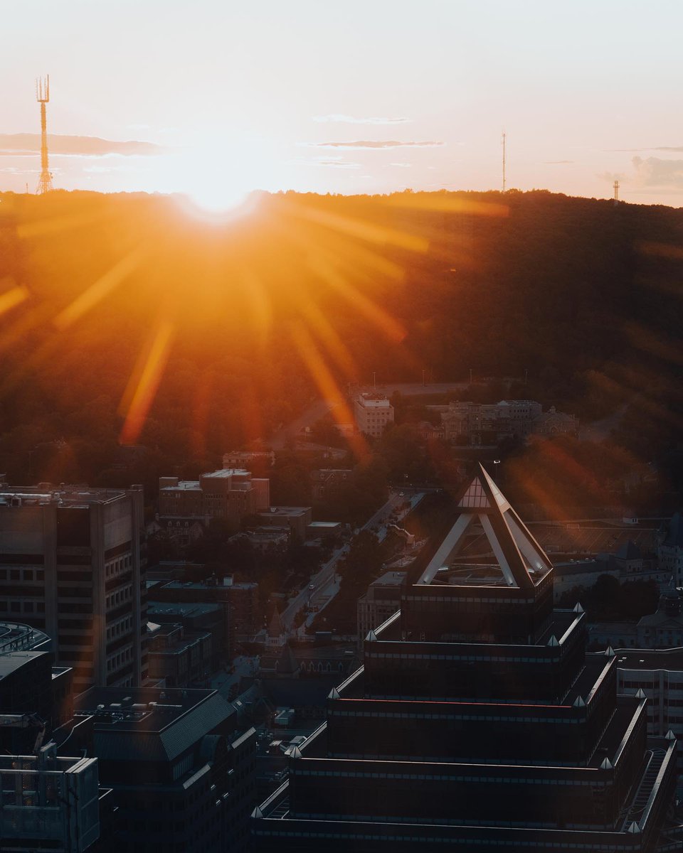 mtltips tweet picture