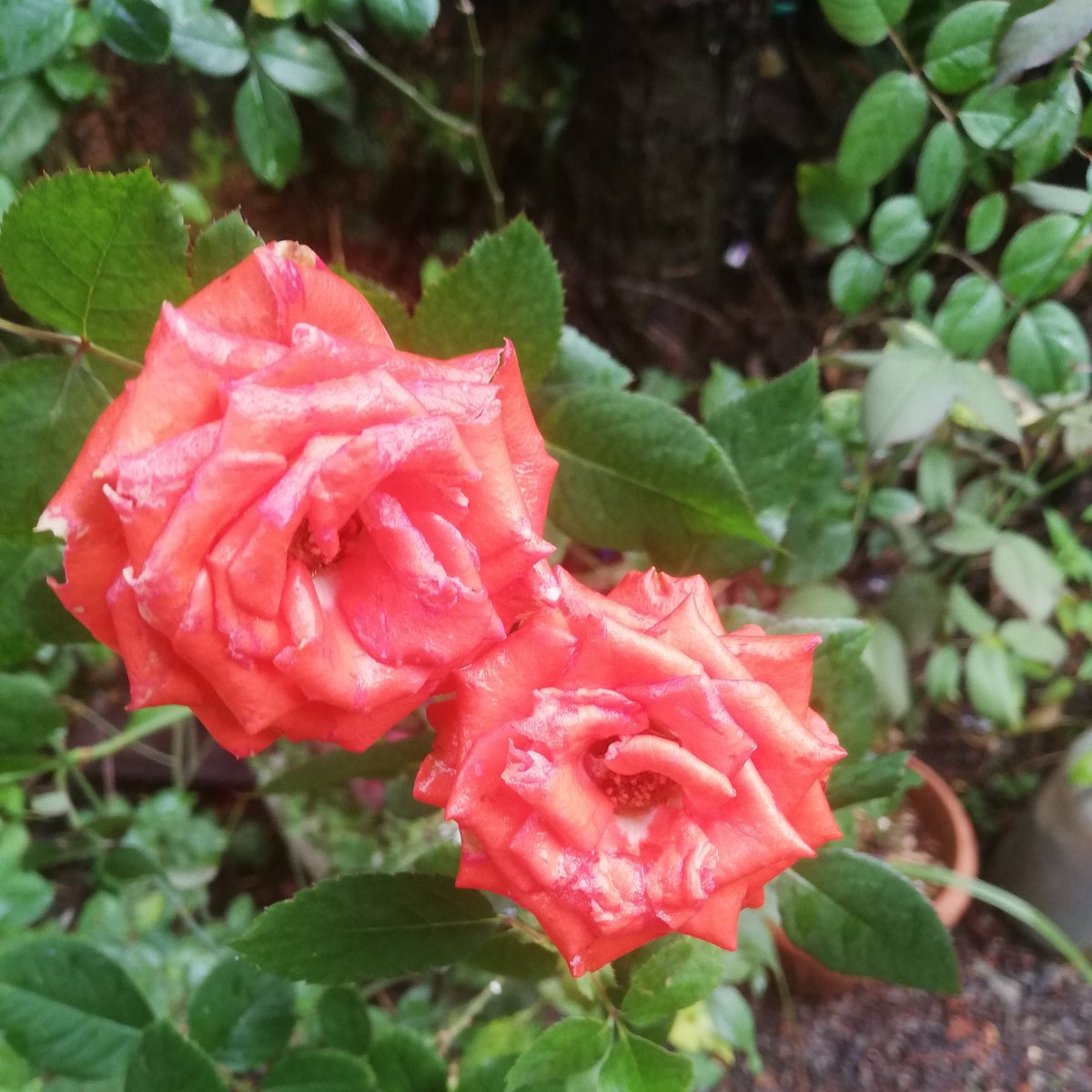 greenmargin's tweet image. #NewProfilePic