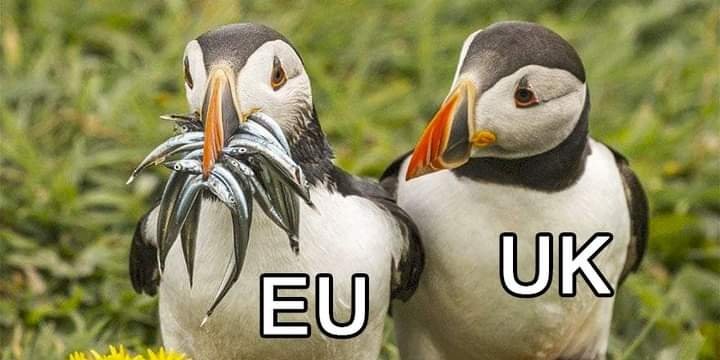 Ottojizzmark's tweet image. If you&apos;ve followed me and I haven&apos;t followed you back yet give this a like so I can sort it.