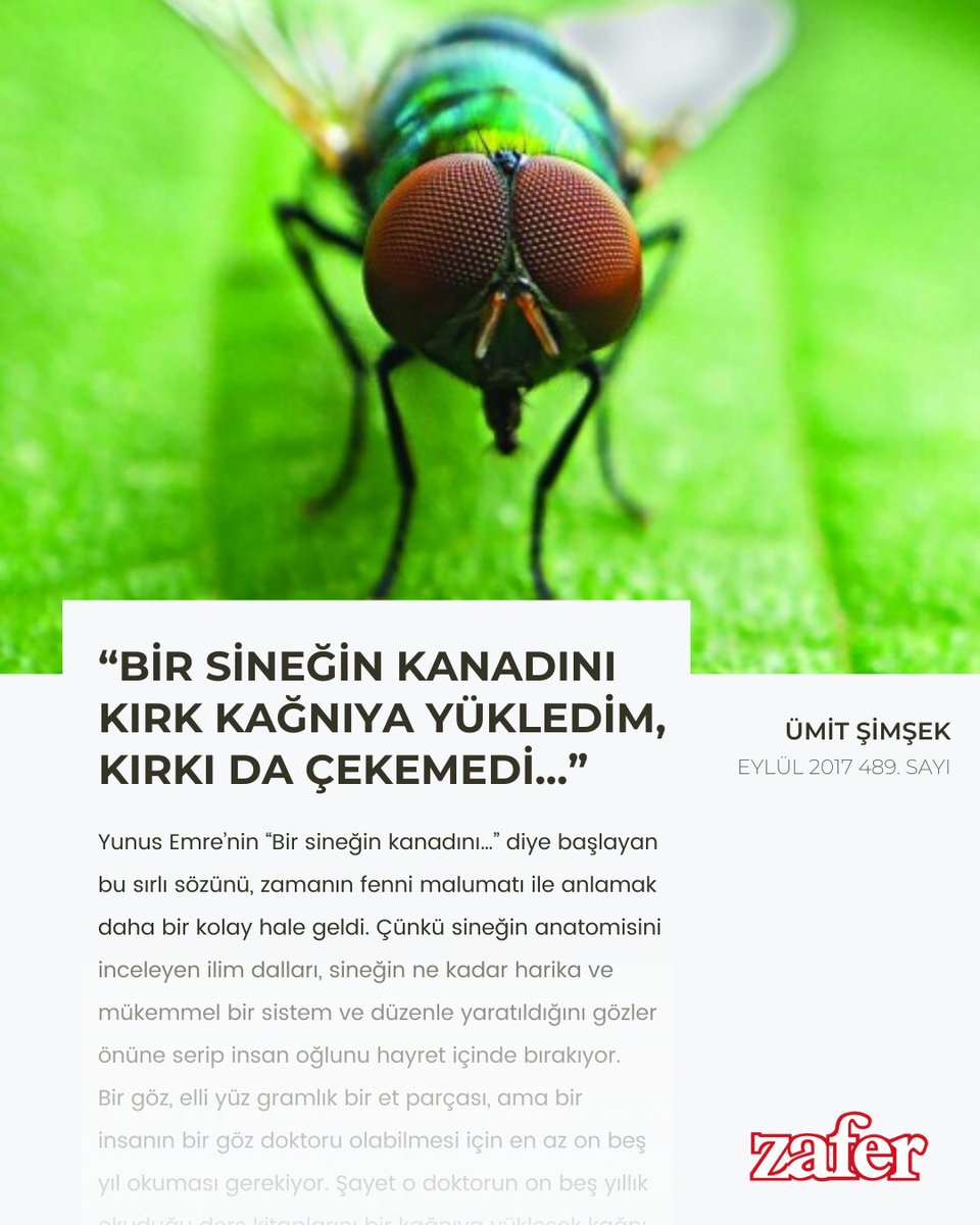 Zafer_Dergisi's tweet photo. Ey insanlar! #Evrim, #tesadüf, #tabiat, #sebepler diye gevelemeyi bırakın. Sizin bel bağladığınız şeylerin hepsi toplansa benim benzerimi yaratamazlar...
Yazar Ümit Şimşek yazdı: “0Bir Sineğin Kanadını Kırk Kağnıya Yükledim, Kırkı da Çekemedi…”
👉 https://t.co/YIh2V1zMNh https://t.co/p12pzVf2IX