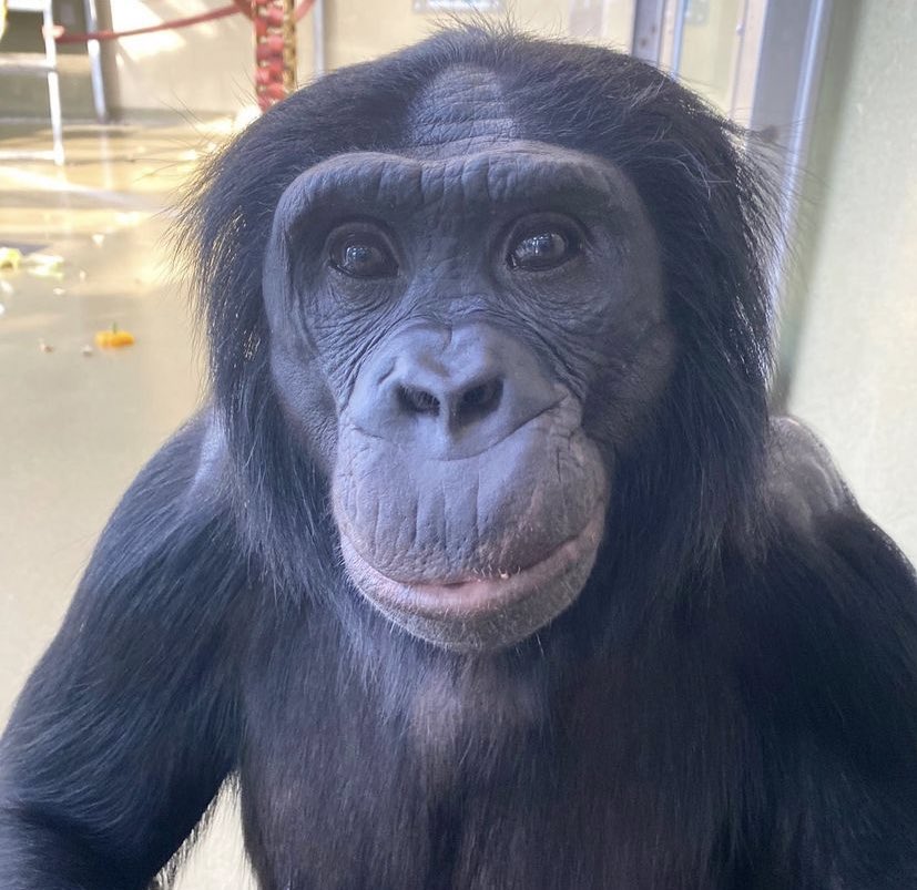 wherefruityummy's tweet image. hey . .. wanna hang out this wednesday?