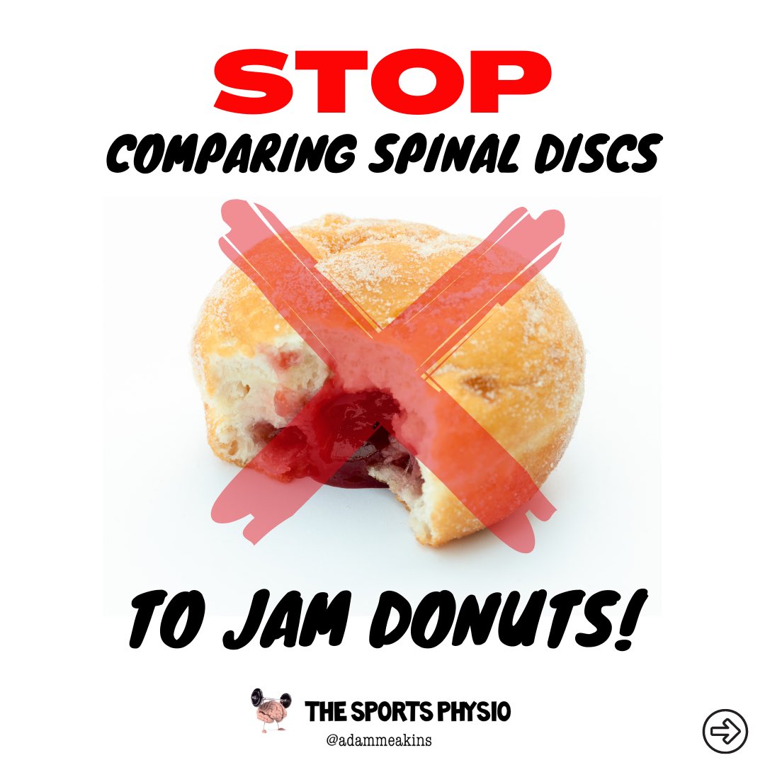 The Sp⚽️rts Physio on Twitter "I propose a change of analogies when we describe intervertebral