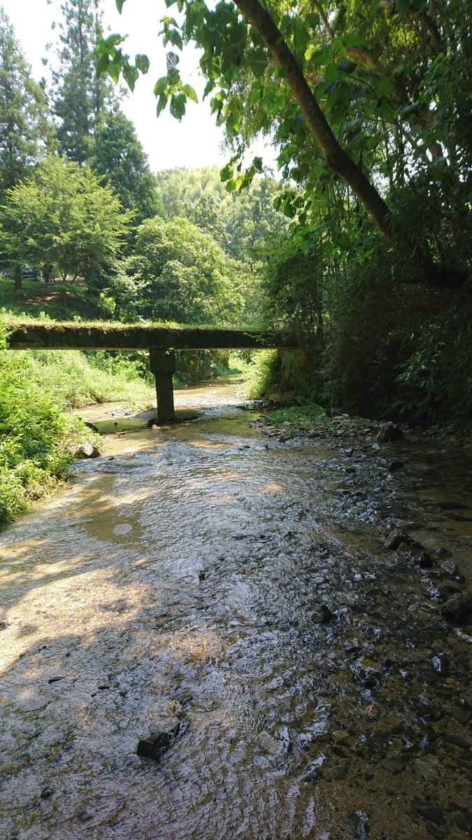 京都府の川バーベキュー穴場まとめ q持ち込み 日帰り可能な場所を徹底解説 旅する亜人ちゃん