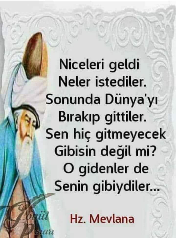 yeter tweet media
