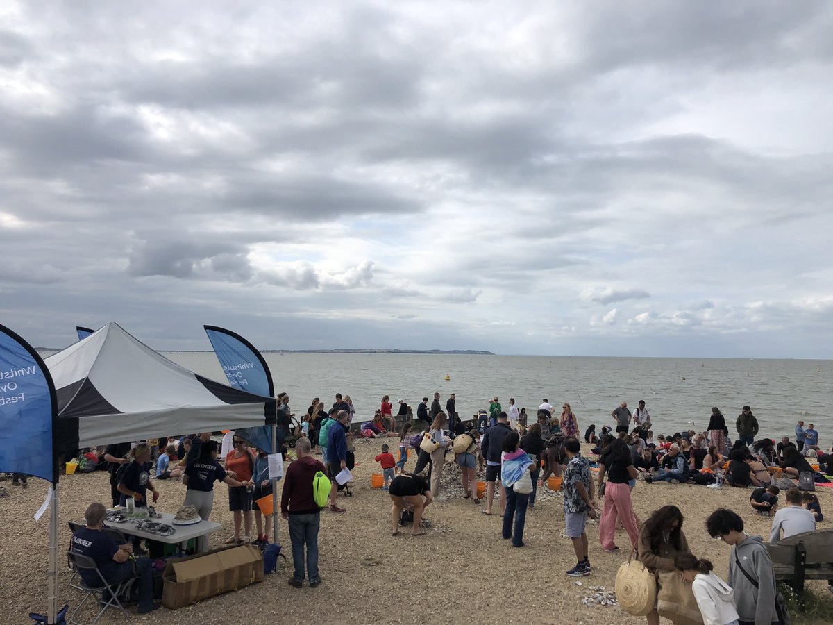 Lots of busy Grotter building! 🦪✨