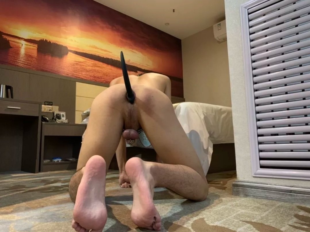 Y90504227's tweet photo. 男的只能当我的贱狗，下贱的狗东西 #男m #肛塞 #贞操锁 #脚奴 #舔脚 #控精 #塞袜 https://t.co/MTh3dQXKKx