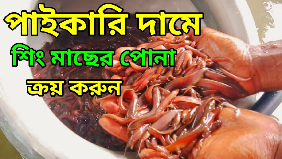 Nazmul00375412's tweet photo. https://t.co/Q6XFQCq0wO https://t.co/GM0CT3k8O7