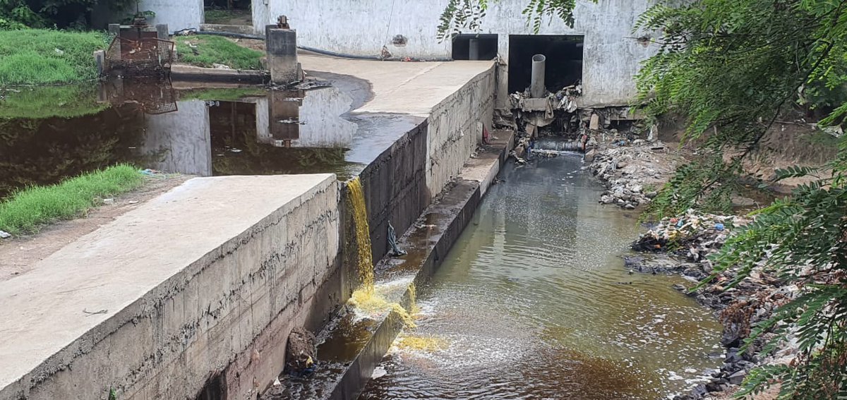 Salim Patel tweet media