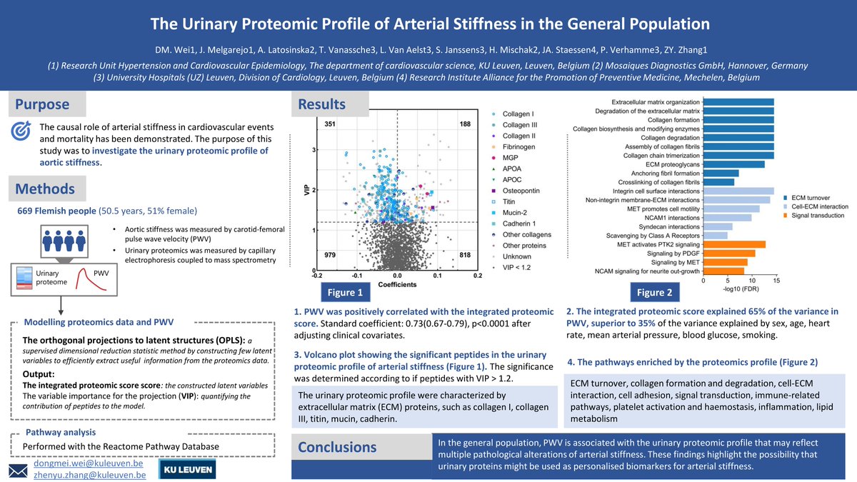 CarolRemme's tweet image. Can urinary proteins be used as #personalised #biomarkers for arterial stiffness?

see this #ESCAbstract by Wei et al:
The urinary proteomic profile of arterial stiffness in the general population
cyim.page.link/hybW

#ESCCongress @escardio #prevention #CVD @AnastasiaSMihai
