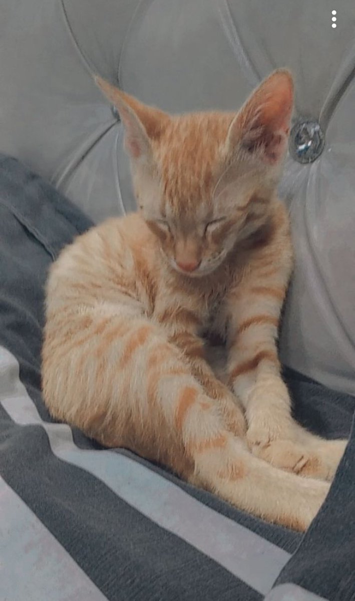 I Hate You M0merry Twitter