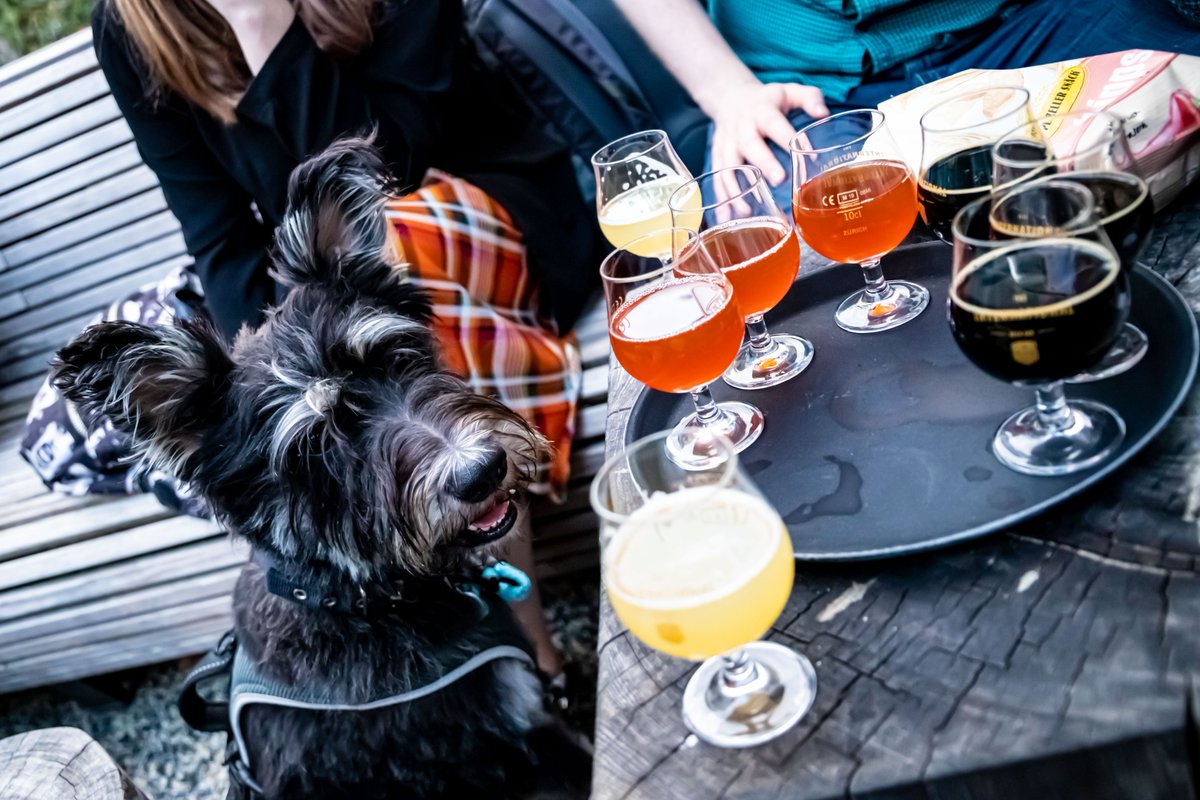 Zurich Beer Tour tweet media